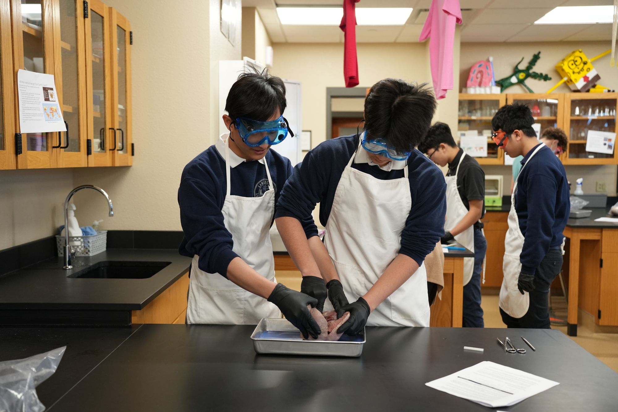 Two students work on a science project in the lab